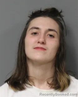 Mugshot of NATASHA RENEE THERKILDSEN booked in Berrien County, Michigan on April 14, 2026