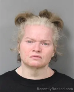 Mugshot of BRANDY HURLEY-SINGH booked in Berrien County, Michigan on April 17, 2026