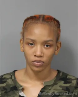 Mugshot of DAJANAE INEZ WARREN booked in Berrien County, Michigan on April 17, 2026