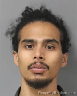 Mugshot of ABOLFATHEL ALI ALBAYATI booked in Berrien County, Michigan on April 19, 2026