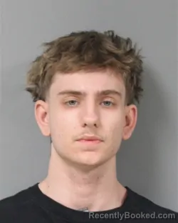 Mugshot of ETHAN ALEXANDER SHANK booked in Berrien County, Michigan on April 22, 2026