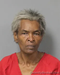 Mugshot of ROSIE LEE WASHINGTON booked in Berrien County, Michigan on April 23, 2026
