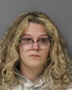 Mugshot of DELANEY KELLEY booked in Berrien County, Michigan on April 24, 2026