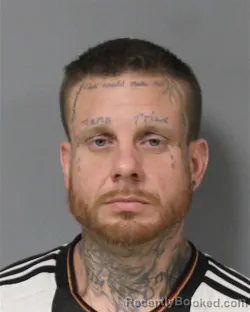 Mugshot of BRIAN KEITH SMITH booked in Berrien County, Michigan on April 26, 2026