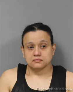 Mugshot of SANDRA LEE ADAME booked in Berrien County, Michigan on April 28, 2026