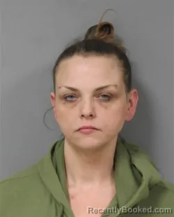 Mugshot of MARIA FAY JOHNSON booked in Berrien County, Michigan on April 29, 2026