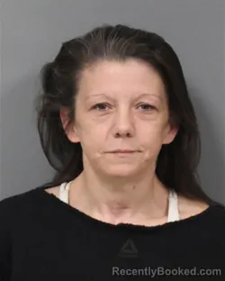 Mugshot of LINDSEY NICHOLE GRUBB booked in Berrien County, Michigan on April 30, 2026