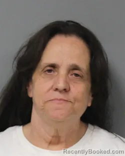 Mugshot of DEBRA SUE HILLOCK booked in Berrien County, Michigan on May 16, 2026