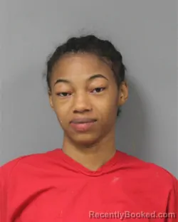 Mugshot of ZARRIAH UNIQUE-LASHA PORTER booked in Berrien County, Michigan on May 17, 2026
