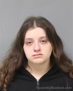 Mugshot of LILLIAN MARIE HRADEL booked in Berrien County, Michigan on May 17, 2026