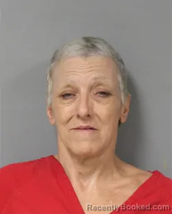 Mugshot of JILL DIANE EVANS booked in Berrien County, Michigan on May 29, 2026
