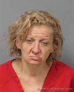 Mugshot of AMANDA MICHELLE LINN booked in Berrien County, Michigan on May 30, 2026