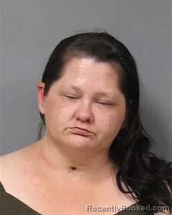 Mugshot of SABRINA GAIL PETERSEN booked in Berrien County, Michigan on May 31, 2026