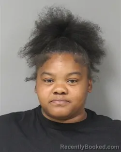 Mugshot of TAYLOR MARIE WHITAKER booked in Berrien County, Michigan on June 1, 2026