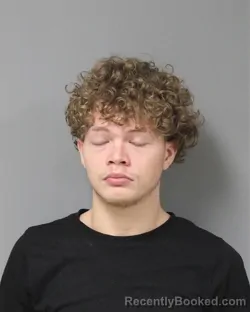 Mugshot of COOPER JAMES WALTZ booked in Berrien County, Michigan on June 2, 2026