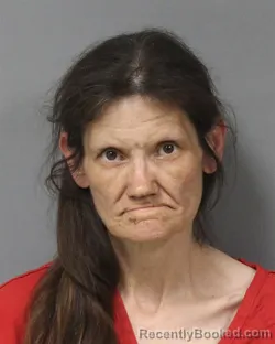 Mugshot of MANDY LYNN RYCHANEK booked in Berrien County, Michigan on June 3, 2026