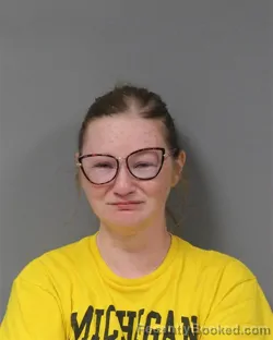 Mugshot of KIMBERLY DAWN TURNER booked in Berrien County, Michigan on June 6, 2026