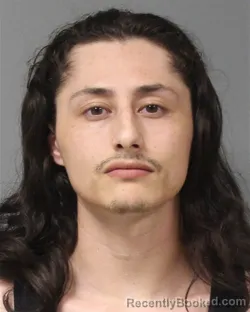 Mugshot of AUSTIN KENNETH BELCOVSON booked in Berrien County, Michigan on June 9, 2026
