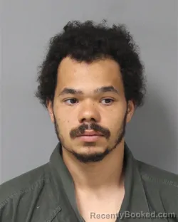 Mugshot of TRENTON JULIANO ANDERSON booked in Berrien County, Michigan on June 11, 2026