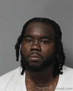 Booking photo from Berrien County, Michigan