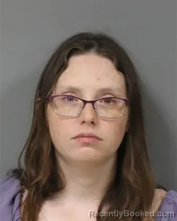 Mugshot of KAITLIN ALYSSA VAPENIK booked in Berrien County, Michigan on June 13, 2026