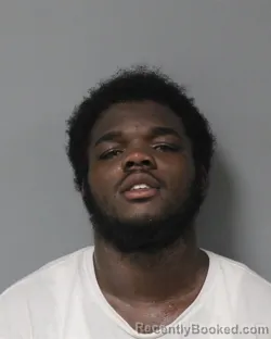 Mugshot of XZERION KASHAWN COLEMAN booked in Berrien County, Michigan on July 26, 2026