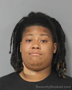 Mugshot of JANIYA LYNETTE SPENCER booked in Berrien County, Michigan on July 27, 2026