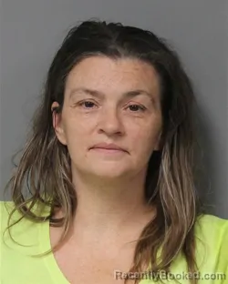 Mugshot of DENISE JON HAGGERTY booked in Berrien County, Michigan on July 27, 2026