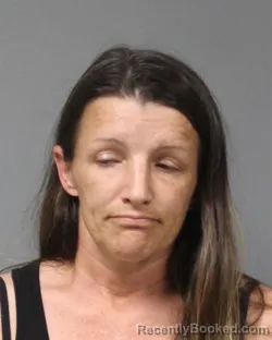 Mugshot of AMY NICOLE DILL booked in Berrien County, Michigan on July 28, 2026