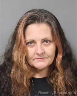 Mugshot of TOMI JOAN HORNER booked in Berrien County, Michigan on July 30, 2026