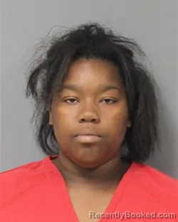 Mugshot of Adrianna Floanne Hankins booked in Berrien County, Michigan on July 31, 2026