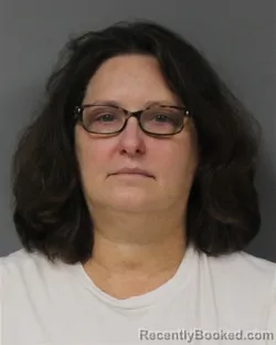 Mugshot of Heather Elziabeth Henson booked in Berrien County, Michigan on August 1, 2026