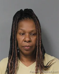 Mugshot of Aldonia Diane Atkins-Brown booked in Berrien County, Michigan on August 2, 2026