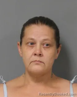 Mugshot of DENISE DANIELLE HARPOLE booked in Berrien County, Michigan on August 3, 2026