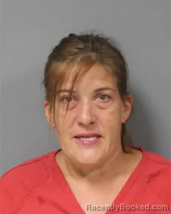 Mugshot of THERESA ELAINE DROUIN booked in Berrien County, Michigan on August 4, 2026