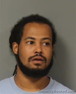 Mugshot of OLIJADAE JEVON POWELL booked in Berrien County, Michigan on August 4, 2026
