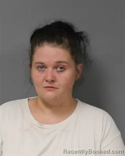 Mugshot of Leighanne Elizabeth Norris booked in Berrien County, Michigan on August 7, 2026