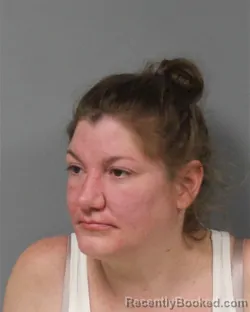 Mugshot of Olivia Morgan Gerber booked in Berrien County, Michigan on August 11, 2026