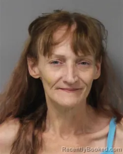 Mugshot of Robin Anne Miller booked in Berrien County, Michigan on August 12, 2026
