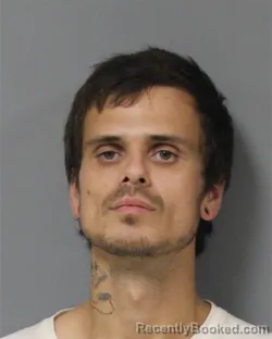 Mugshot of Duane Carl Dishman booked in Berrien County, Michigan on August 18, 2026