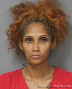 Booking photo from Berrien County, Michigan