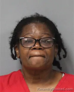 Mugshot of Tina Louise Ellis booked in Berrien County, Michigan on August 19, 2026