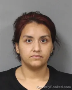 Mugshot of Karina Yaneth Castillo booked in Berrien County, Michigan on September 28, 2026