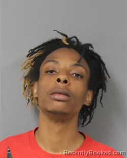 Mugshot of Devonein Dafrank Porter booked in Berrien County, Michigan on October 5, 2026