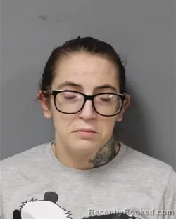 Mugshot of Nickole Kirstie Rininger booked in Berrien County, Michigan on October 8, 2026