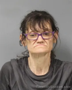 Mugshot of Mandy Lynn Rychanek booked in Berrien County, Michigan on October 14, 2026