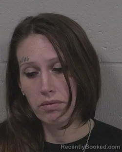 Mugshot of Tonya Renee Kreinbrook booked in Branch County, Michigan on September 7, 2026