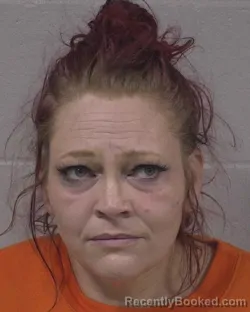 Mugshot of ELIZABETH BLUE EBERHART booked in Branch County, Michigan on June 14, 2026