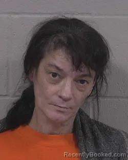 Mugshot of ELIZABETH ANNE CRAWFORD booked in Branch County, Michigan on April 8, 2026