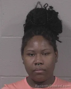 Mugshot of Ankessa Darmeshia Mack booked in Branch County, Michigan on July 28, 2026